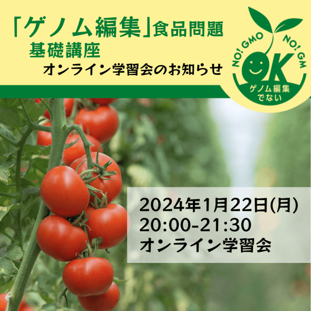 写真は中玉のトマトのイメージ。トマトでは２例目の届け出となったゲノム編集トマトは、中玉トマト。